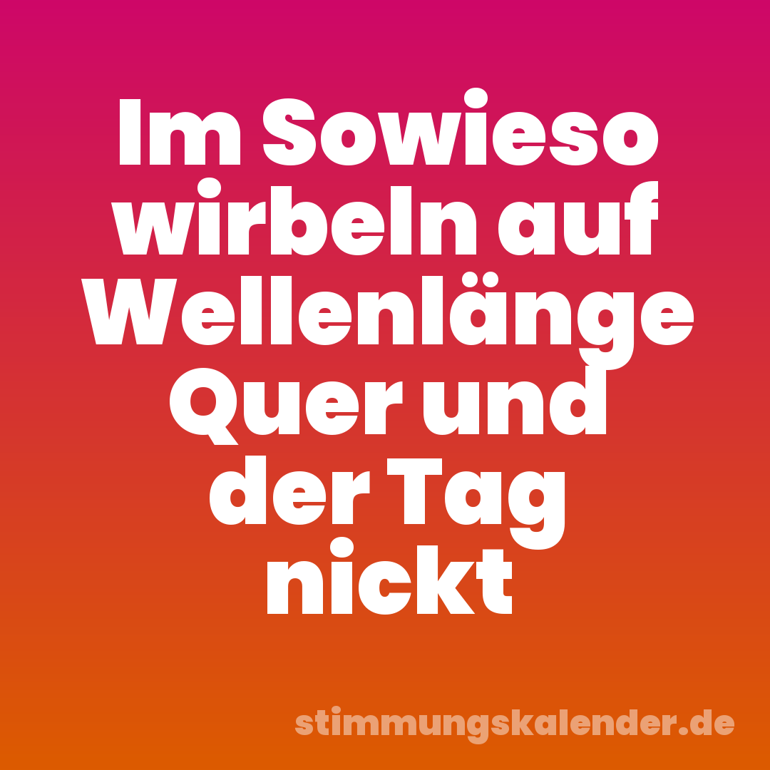 Im Sowieso wirbeln auf Wellenlänge Quer und der Tag nickt