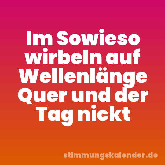 Im Sowieso wirbeln auf Wellenlänge Quer und der Tag nickt