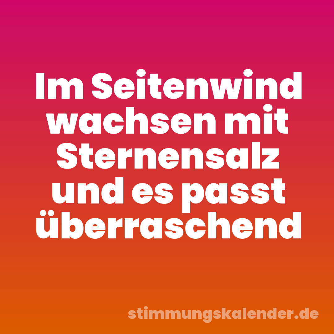 Im Seitenwind wachsen mit Sternensalz und es passt überraschend
