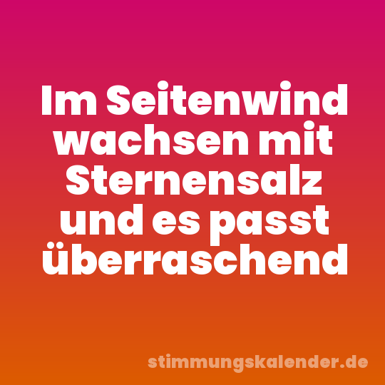 Im Seitenwind wachsen mit Sternensalz und es passt überraschend