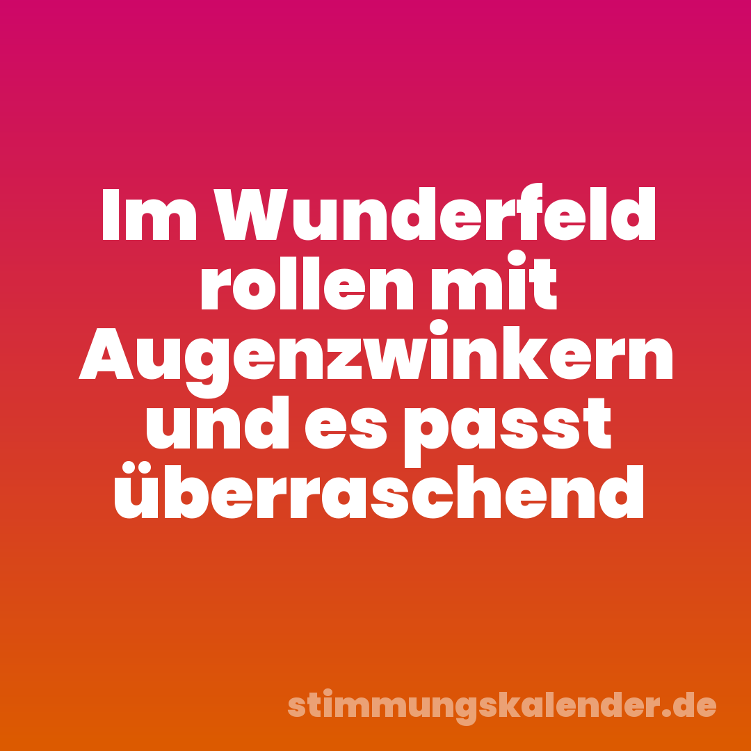 Im Wunderfeld rollen mit Augenzwinkern und es passt überraschend
