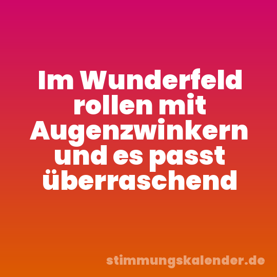 Im Wunderfeld rollen mit Augenzwinkern und es passt überraschend