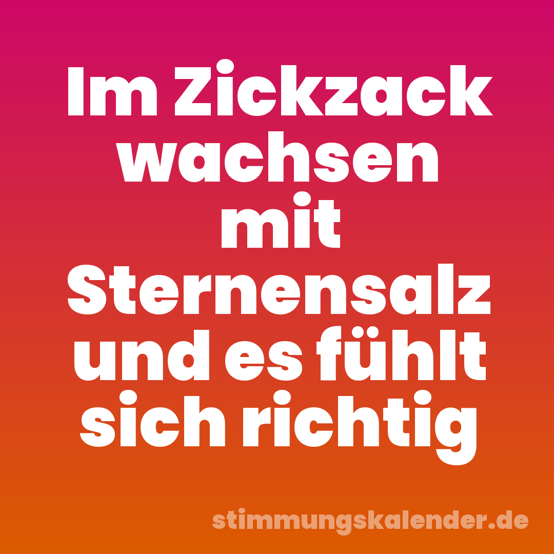 Im Zickzack wachsen mit Sternensalz und es fühlt sich richtig