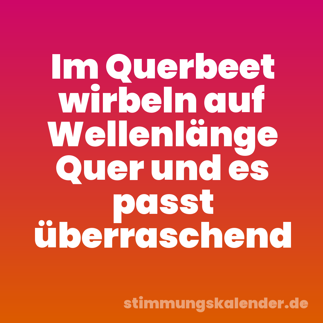 Im Querbeet wirbeln auf Wellenlänge Quer und es passt überraschend
