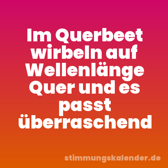 Im Querbeet wirbeln auf Wellenlänge Quer und es passt überraschend