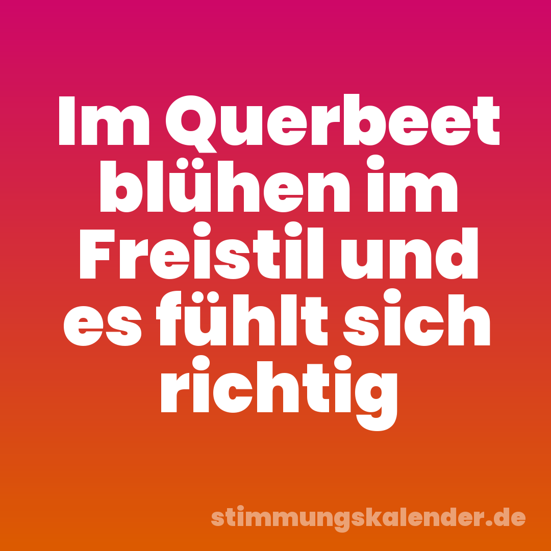 Im Querbeet blühen im Freistil und es fühlt sich richtig