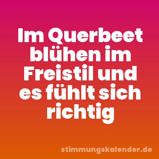 Im Querbeet blühen im Freistil und es fühlt sich richtig