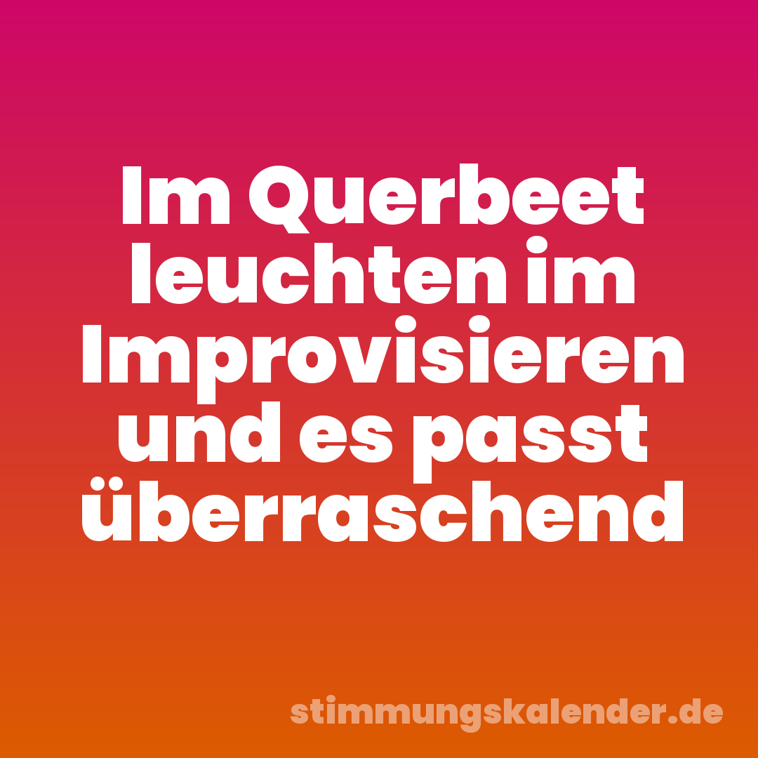 Im Querbeet leuchten im Improvisieren und es passt überraschend
