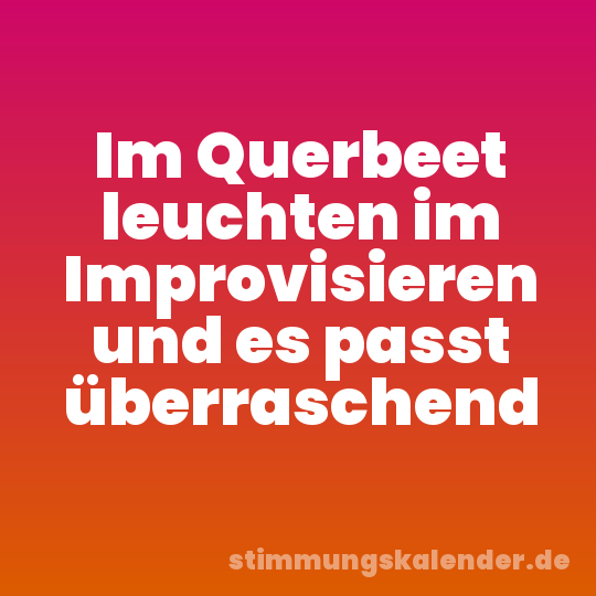 Im Querbeet leuchten im Improvisieren und es passt überraschend