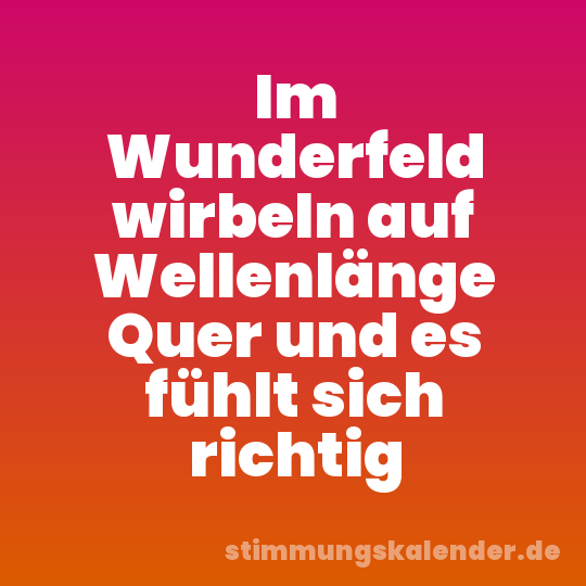 Im Wunderfeld wirbeln auf Wellenlänge Quer und es fühlt sich richtig