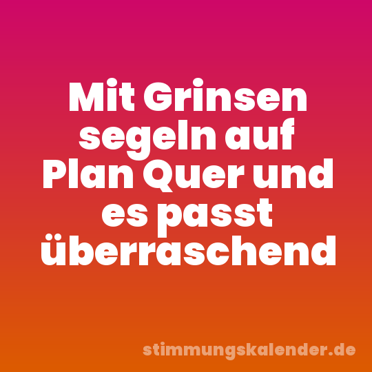 Mit Grinsen segeln auf Plan Quer und es passt überraschend