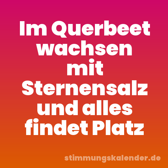 Im Querbeet wachsen mit Sternensalz und alles findet Platz