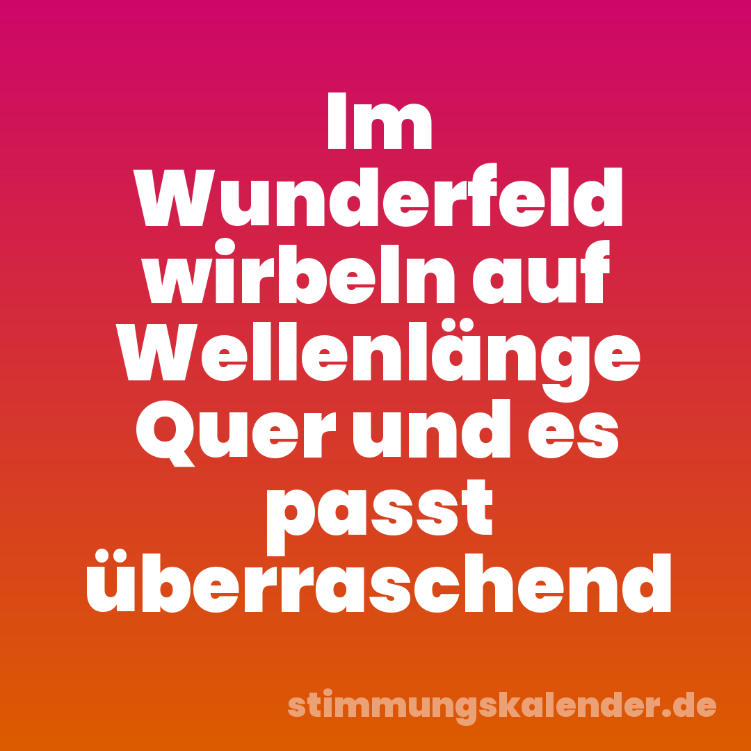 Im Wunderfeld wirbeln auf Wellenlänge Quer und es passt überraschend