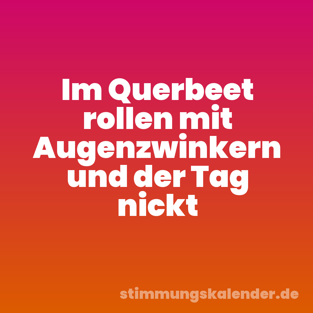 Im Querbeet rollen mit Augenzwinkern und der Tag nickt