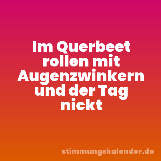 Im Querbeet rollen mit Augenzwinkern und der Tag nickt