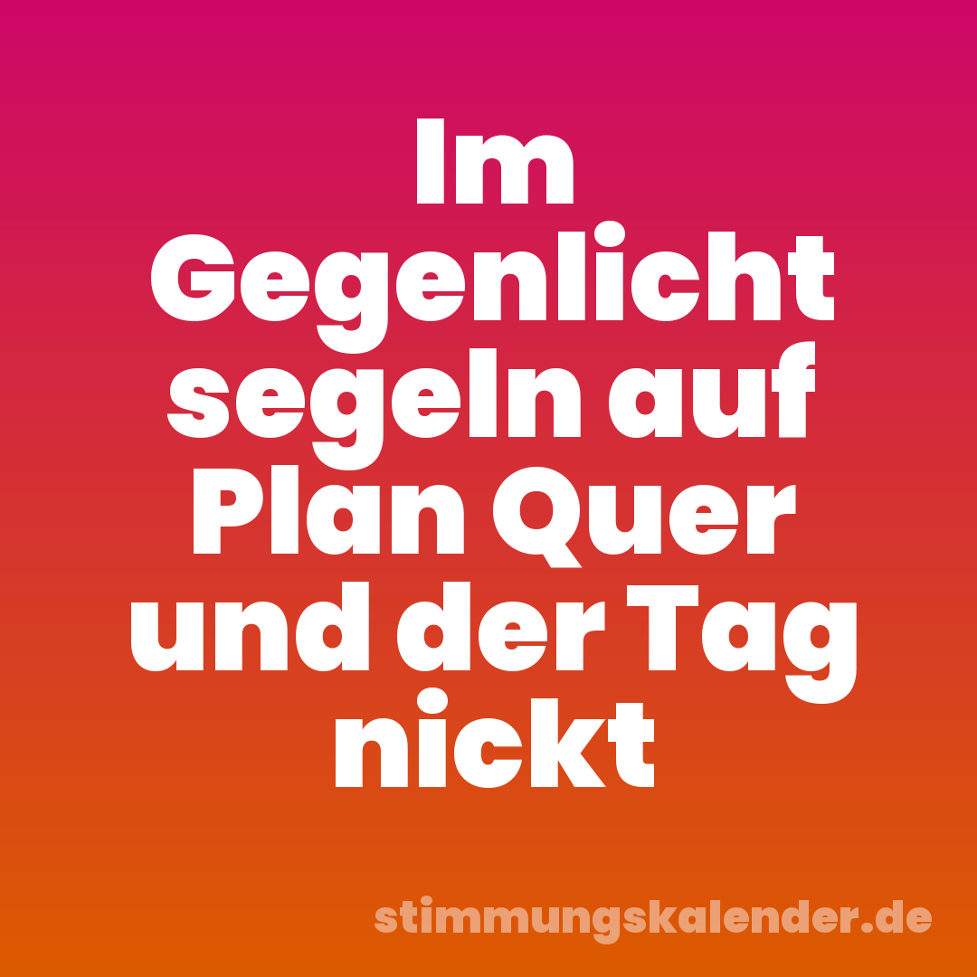 Im Gegenlicht segeln auf Plan Quer und der Tag nickt