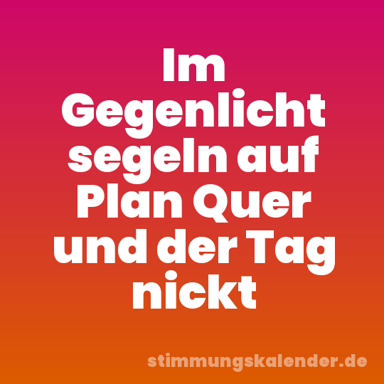 Im Gegenlicht segeln auf Plan Quer und der Tag nickt