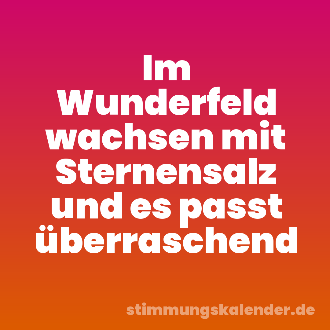 Im Wunderfeld wachsen mit Sternensalz und es passt überraschend
