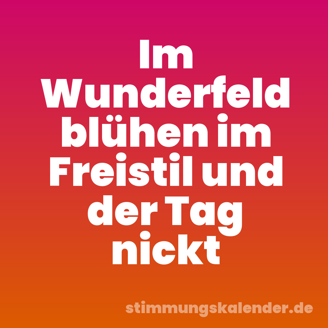 Im Wunderfeld blühen im Freistil und der Tag nickt