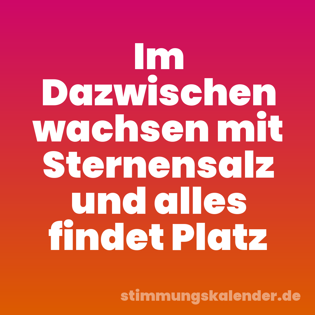 Im Dazwischen wachsen mit Sternensalz und alles findet Platz