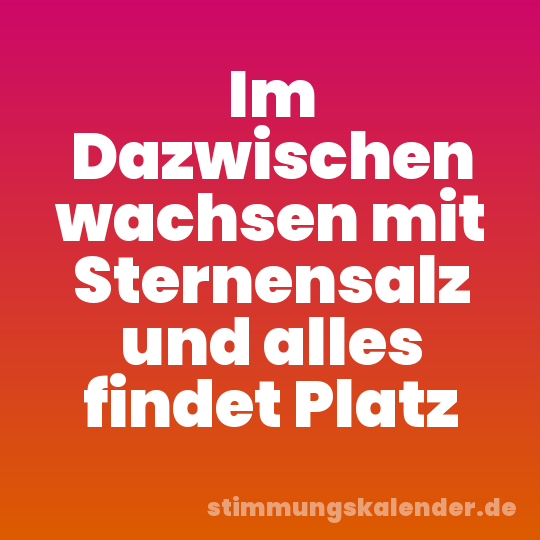 Im Dazwischen wachsen mit Sternensalz und alles findet Platz
