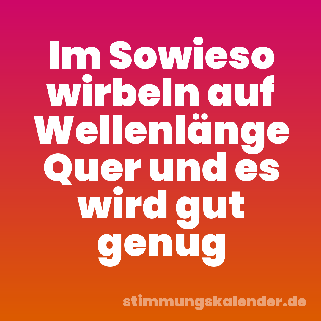 Im Sowieso wirbeln auf Wellenlänge Quer und es wird gut genug