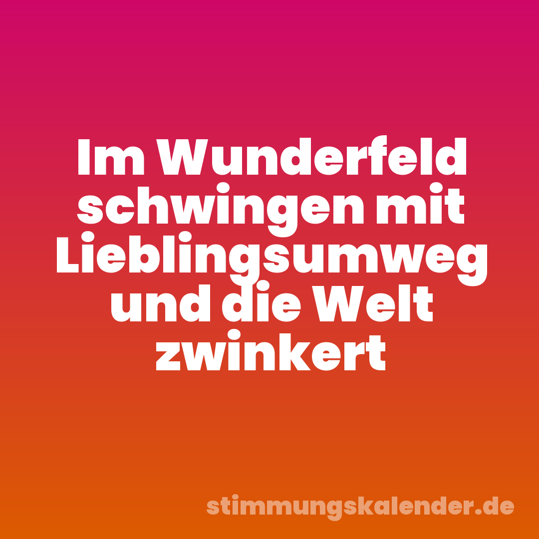 Im Wunderfeld schwingen mit Lieblingsumweg und die Welt zwinkert