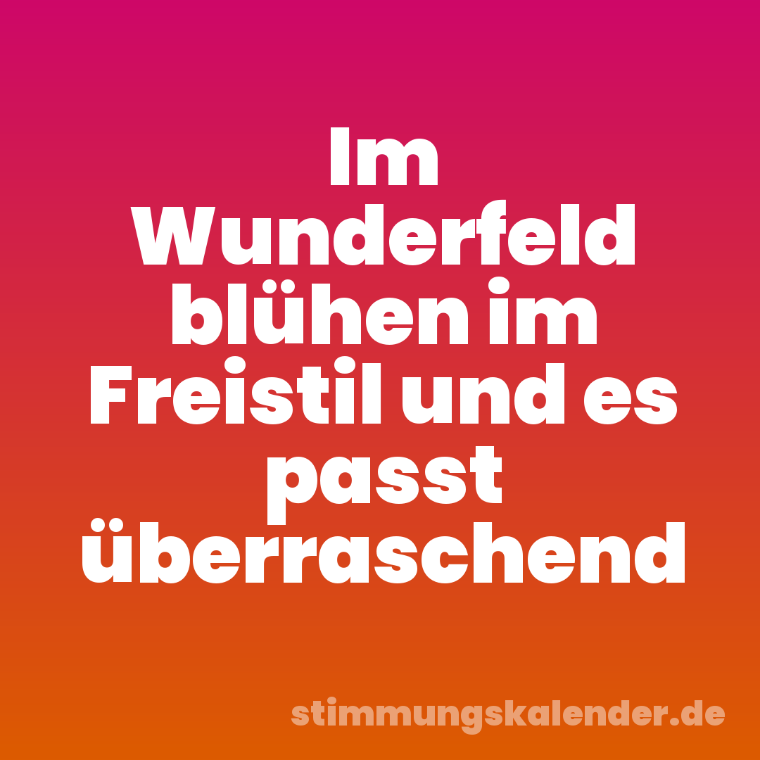 Im Wunderfeld blühen im Freistil und es passt überraschend