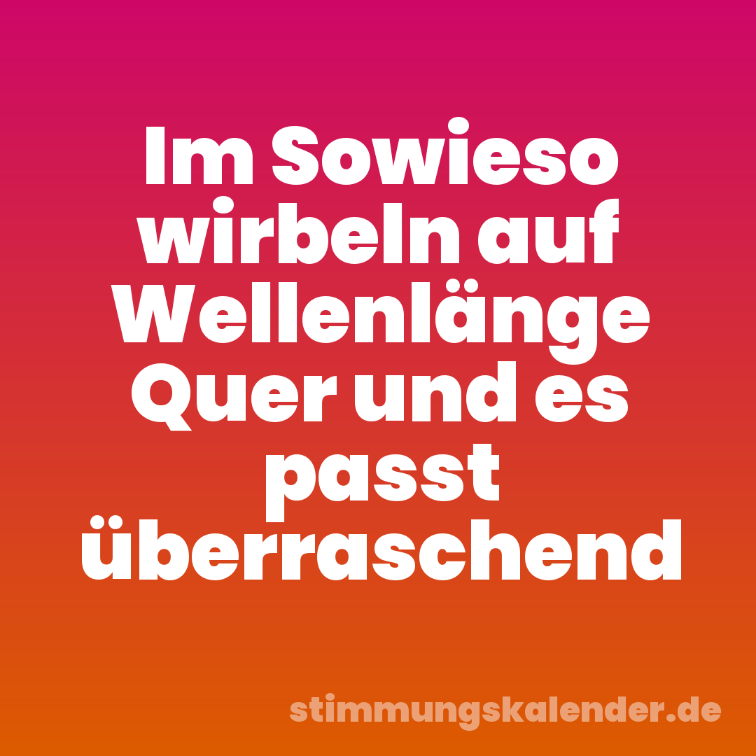 Im Sowieso wirbeln auf Wellenlänge Quer und es passt überraschend