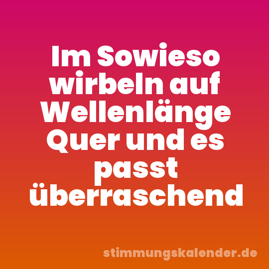 Im Sowieso wirbeln auf Wellenlänge Quer und es passt überraschend