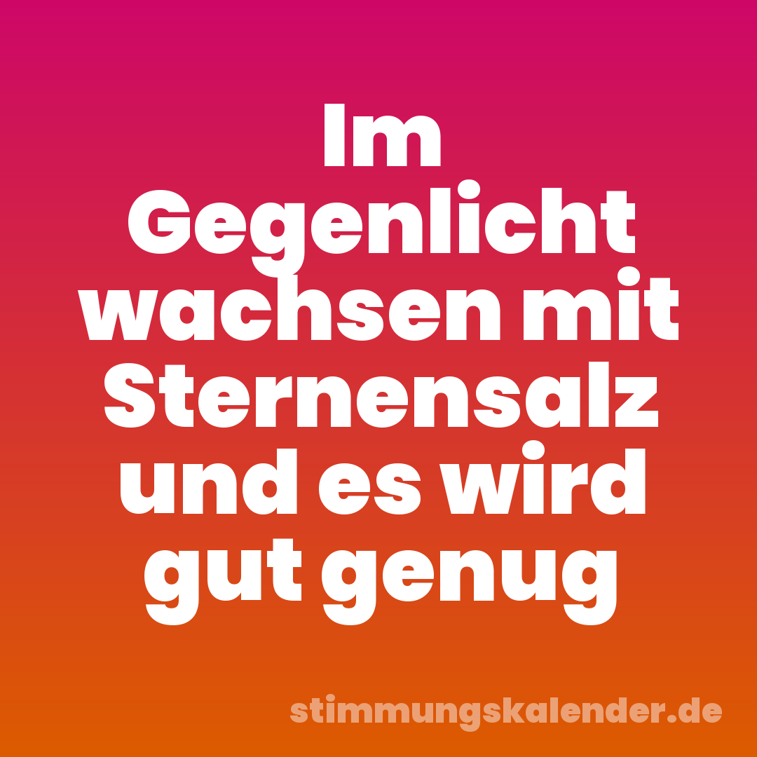 Im Gegenlicht wachsen mit Sternensalz und es wird gut genug