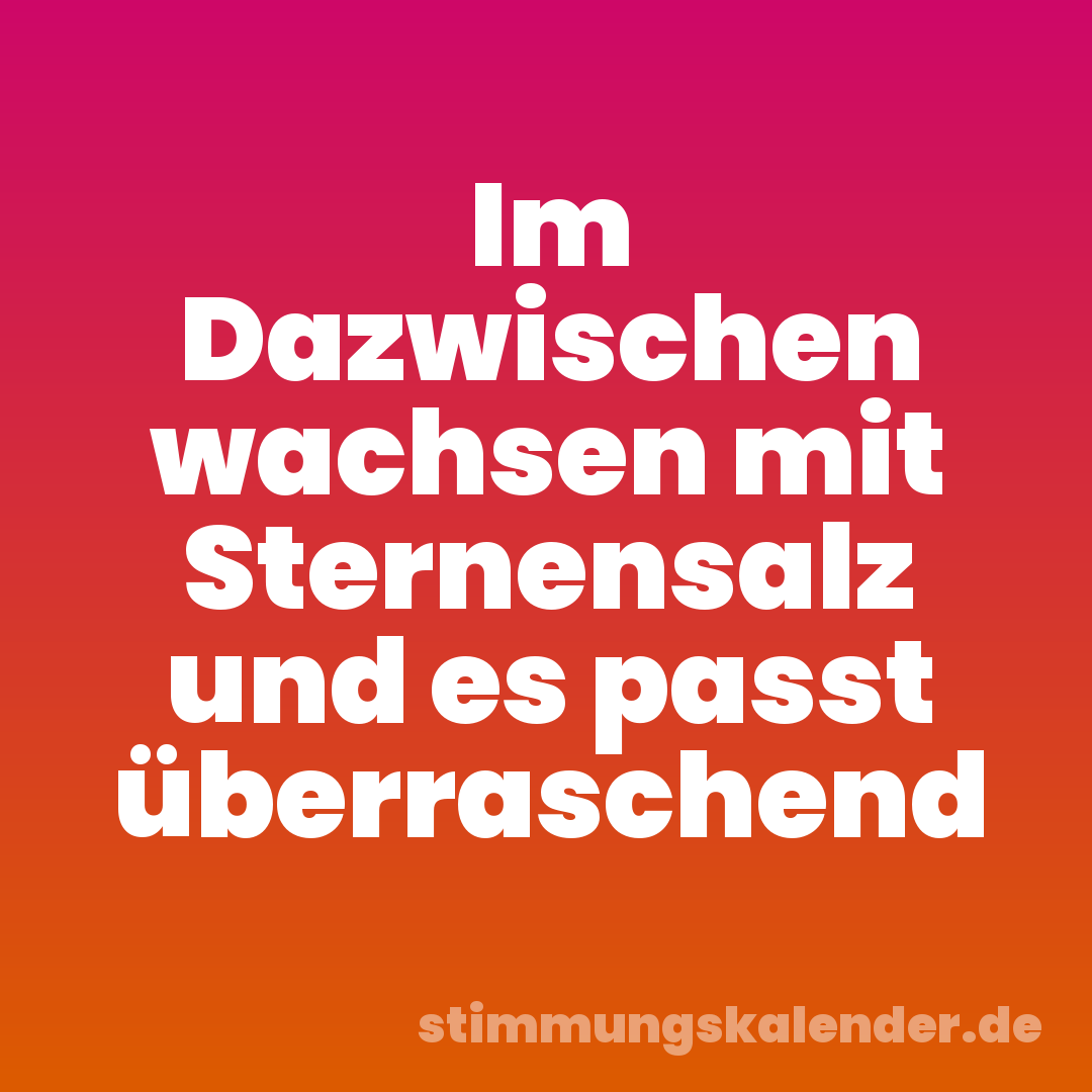 Im Dazwischen wachsen mit Sternensalz und es passt überraschend