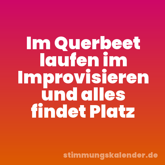 Im Querbeet laufen im Improvisieren und alles findet Platz