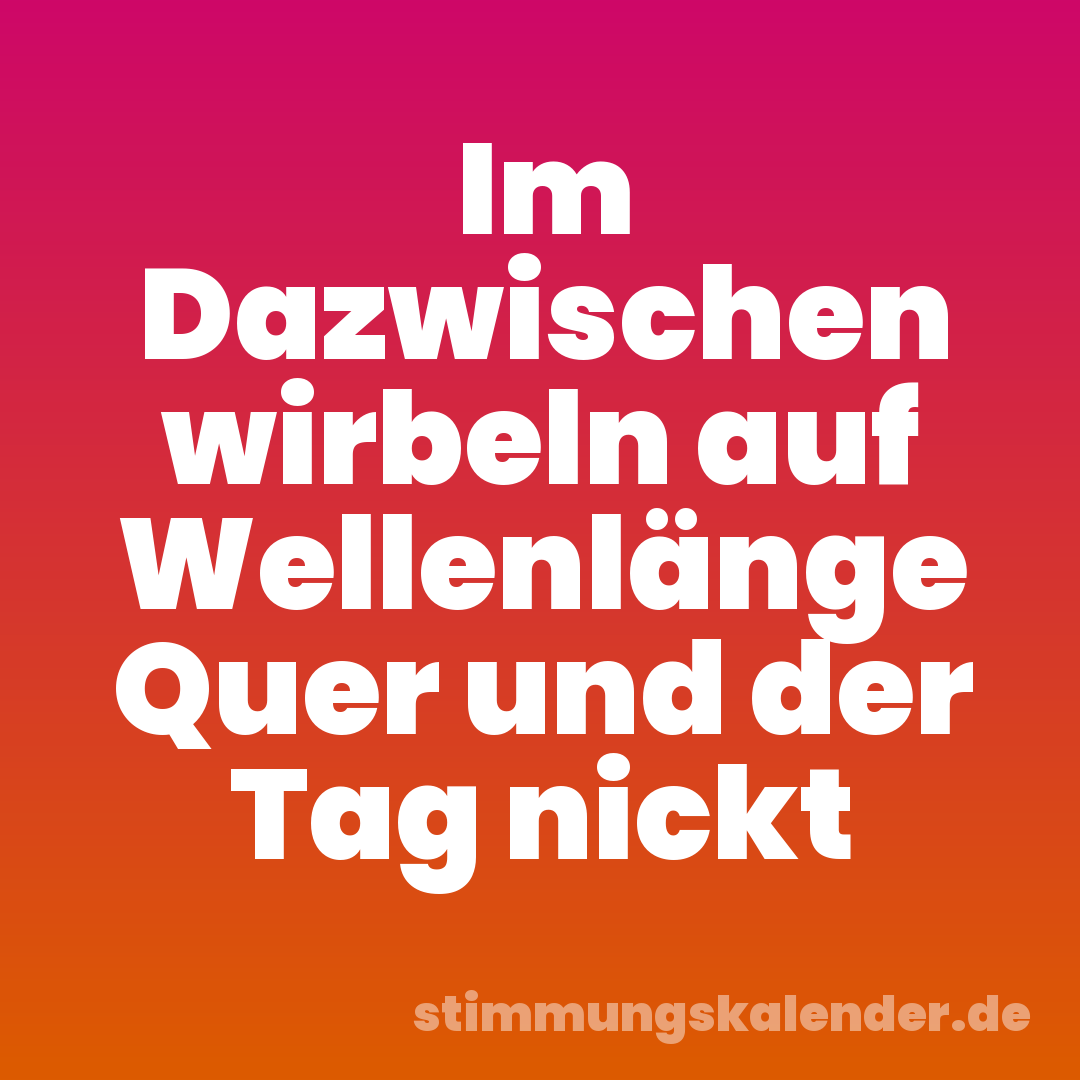 Im Dazwischen wirbeln auf Wellenlänge Quer und der Tag nickt