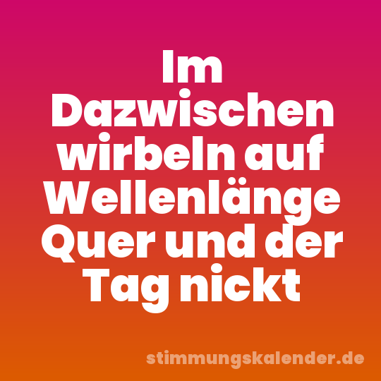 Im Dazwischen wirbeln auf Wellenlänge Quer und der Tag nickt