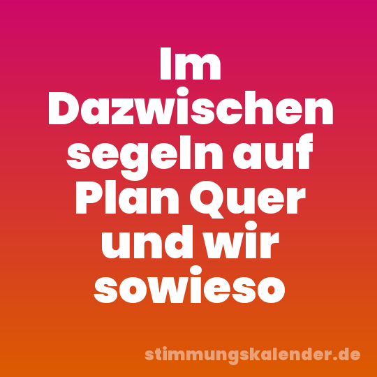 Im Dazwischen segeln auf Plan Quer und wir sowieso