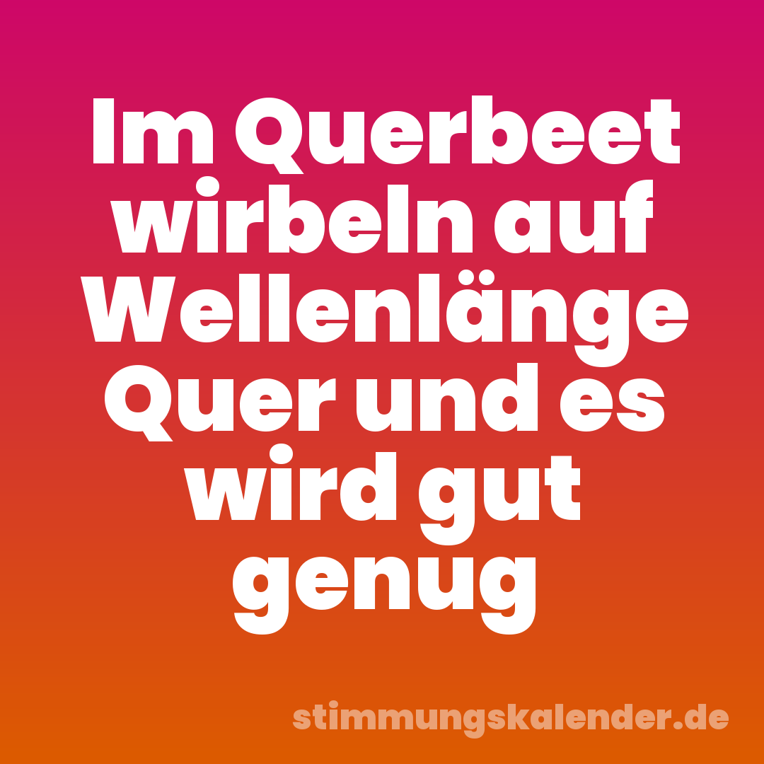 Im Querbeet wirbeln auf Wellenlänge Quer und es wird gut genug