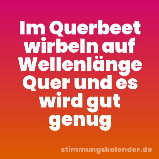 Im Querbeet wirbeln auf Wellenlänge Quer und es wird gut genug