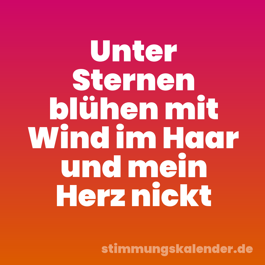 Unter Sternen blühen mit Wind im Haar und mein Herz nickt