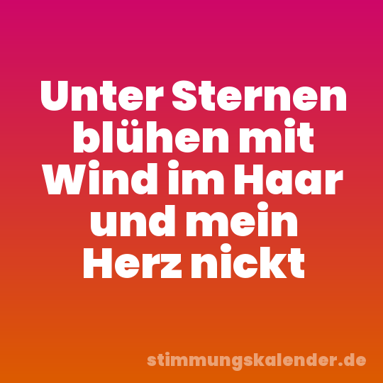 Unter Sternen blühen mit Wind im Haar und mein Herz nickt