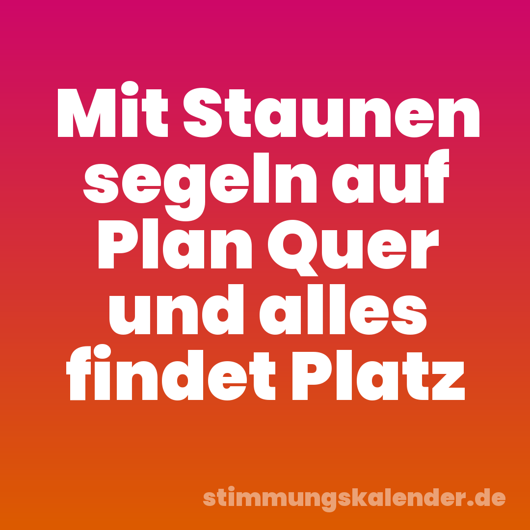 Mit Staunen segeln auf Plan Quer und alles findet Platz
