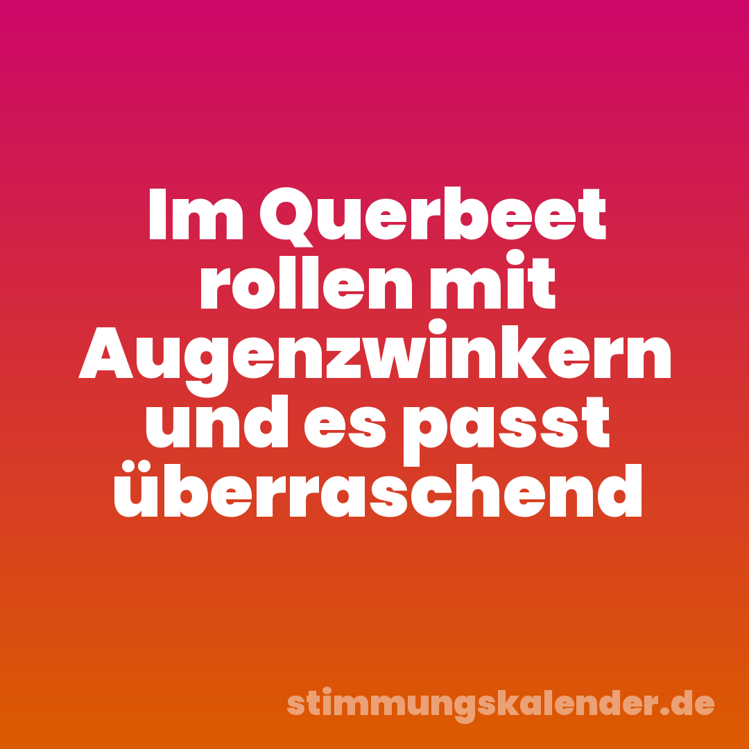 Im Querbeet rollen mit Augenzwinkern und es passt überraschend