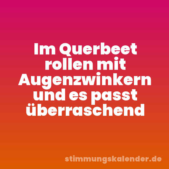 Im Querbeet rollen mit Augenzwinkern und es passt überraschend