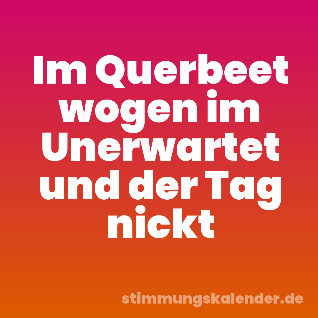 Im Querbeet wogen im Unerwartet und der Tag nickt