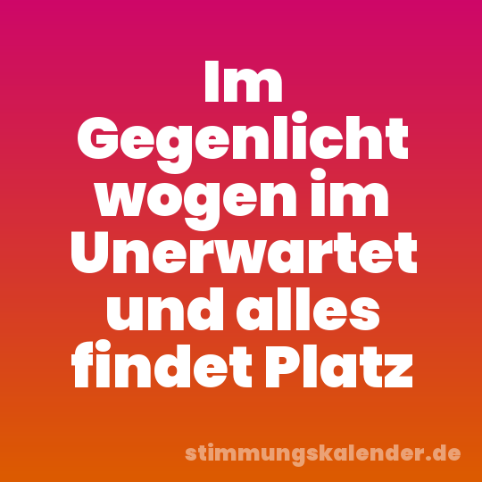 Im Gegenlicht wogen im Unerwartet und alles findet Platz