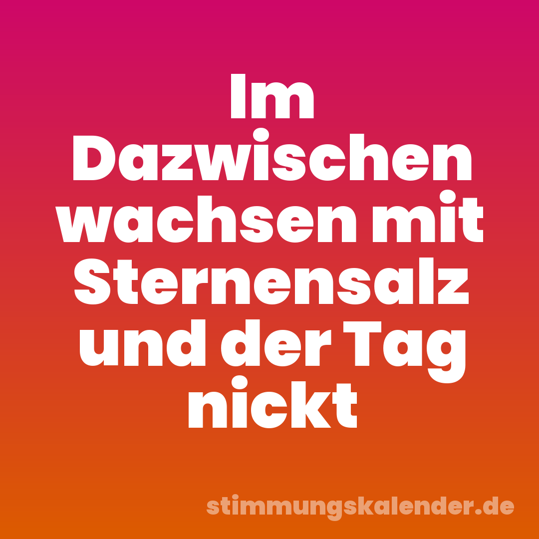 Im Dazwischen wachsen mit Sternensalz und der Tag nickt