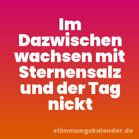 Im Dazwischen wachsen mit Sternensalz und der Tag nickt