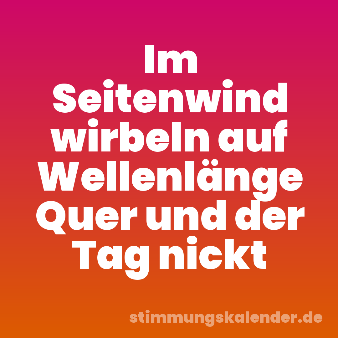 Im Seitenwind wirbeln auf Wellenlänge Quer und der Tag nickt