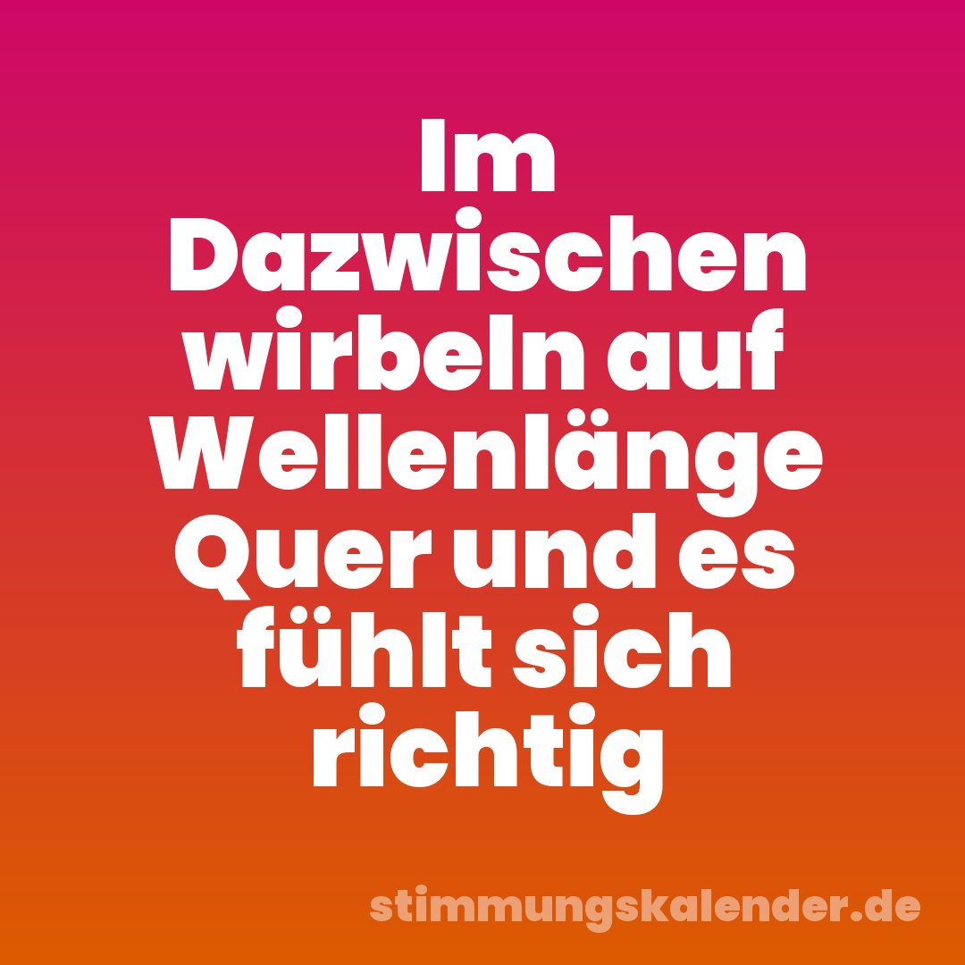 Im Dazwischen wirbeln auf Wellenlänge Quer und es fühlt sich richtig