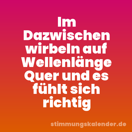 Im Dazwischen wirbeln auf Wellenlänge Quer und es fühlt sich richtig